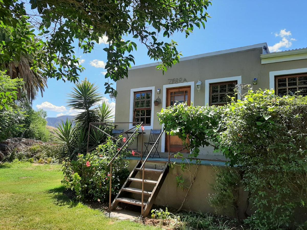 Karoo Life B&B 칼리츠도르프 외부 사진